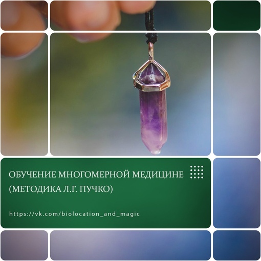 Многомерная медицина методика (Л.Г. Пучко) 